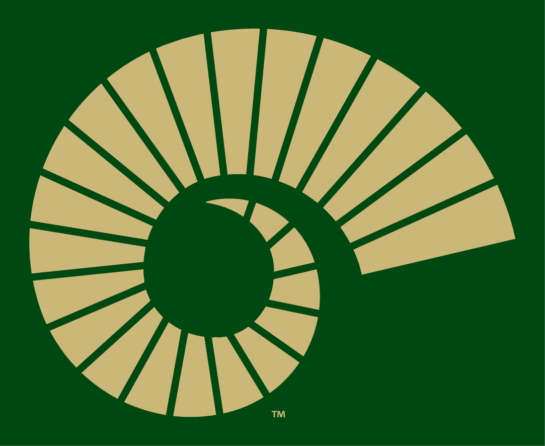 Colorado State Rams 2015-Pres Alternate Logo v4 diy fabric transfer